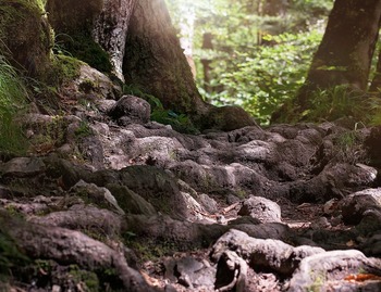 Les chemins retrouvés